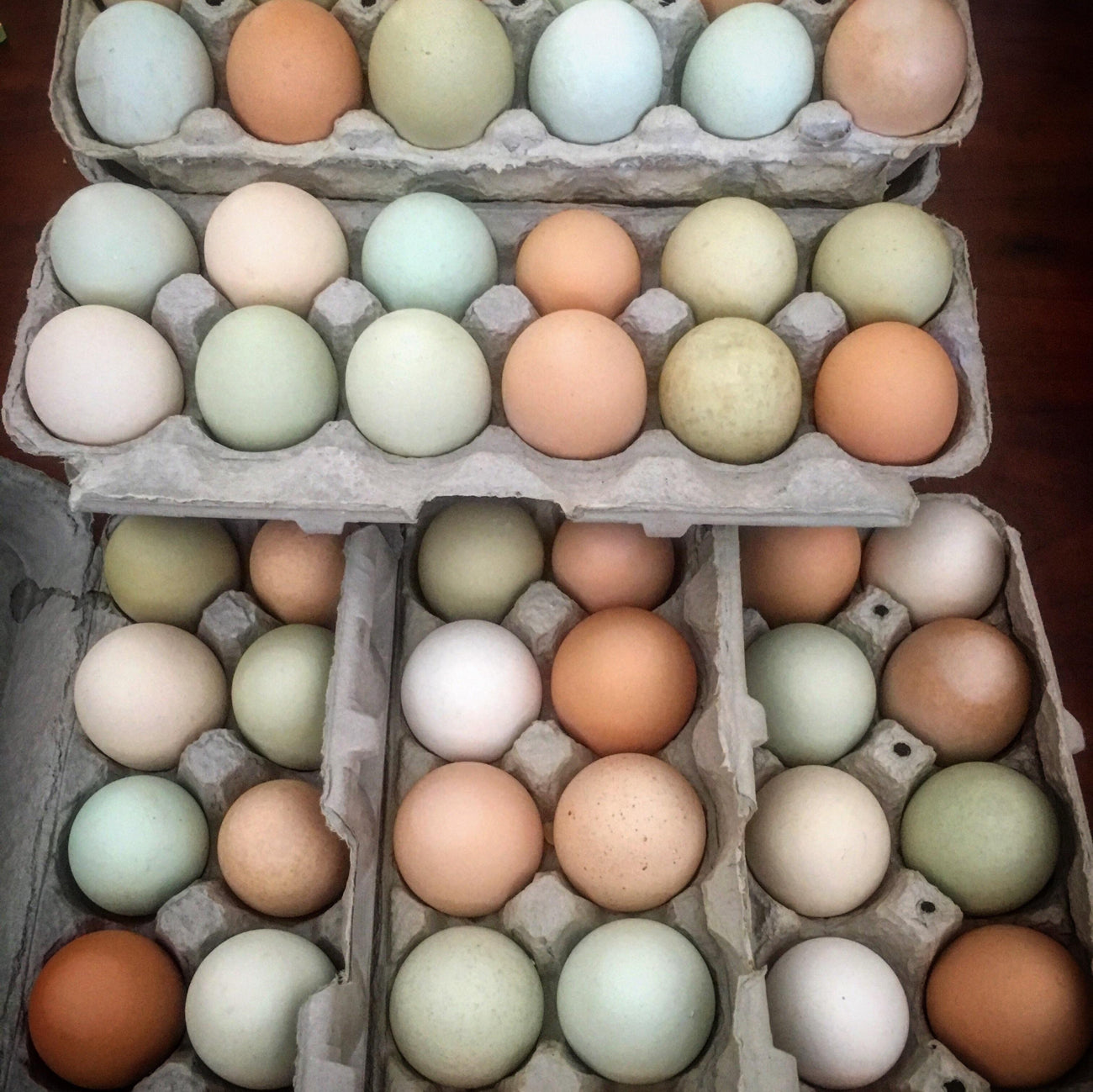 Egg & Dairy